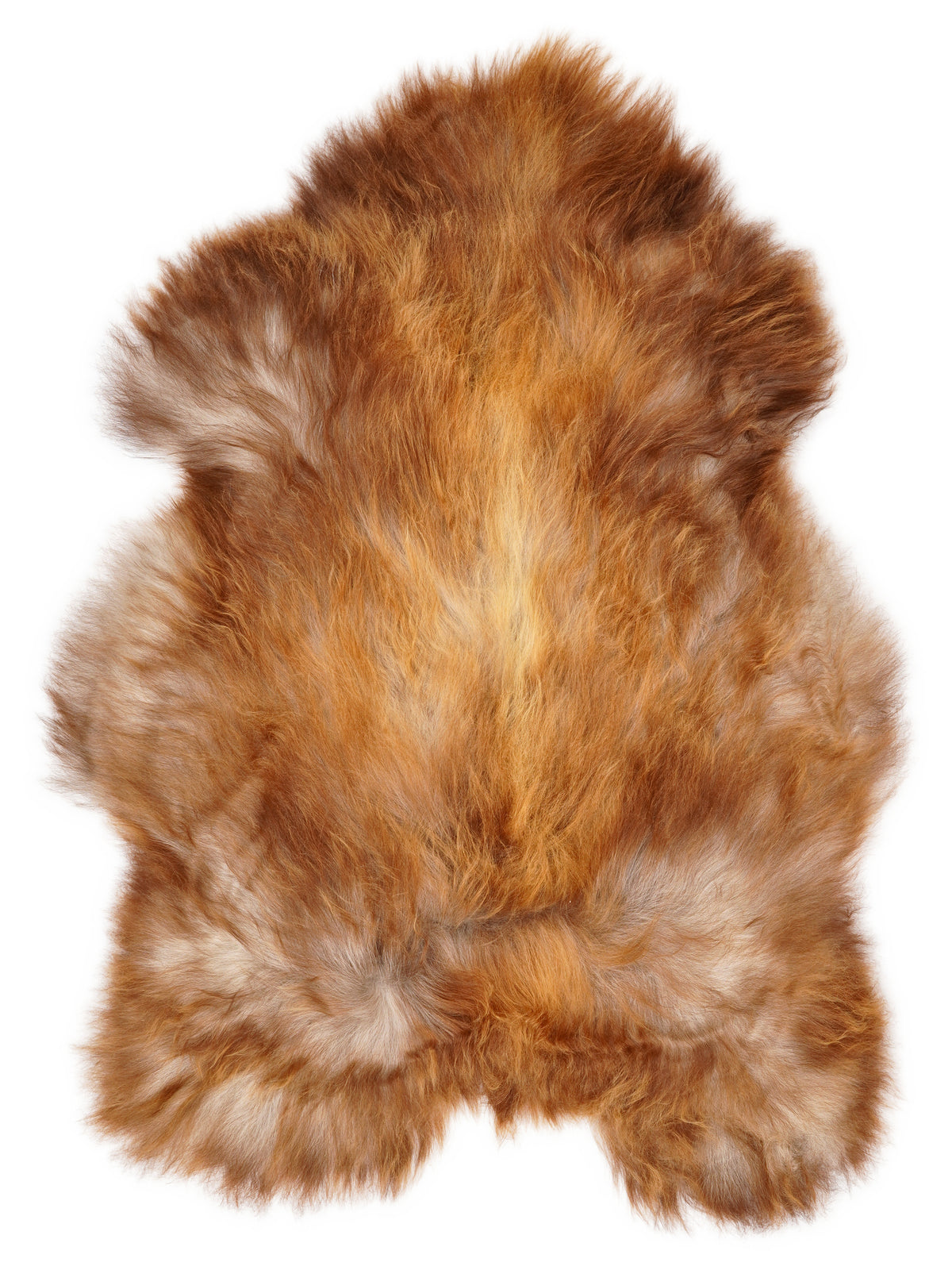 Icelandic multicolour sheepskin rug of about 130 × 85 cm, seen from above: the exact sheepskin you receive