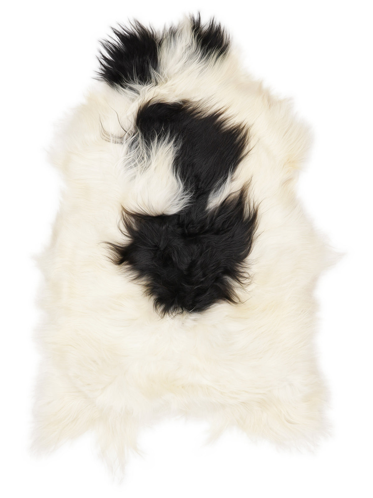 Icelandic multicolour sheepskin rug of about 110 × 65 cm, seen from above: the exact sheepskin you receive