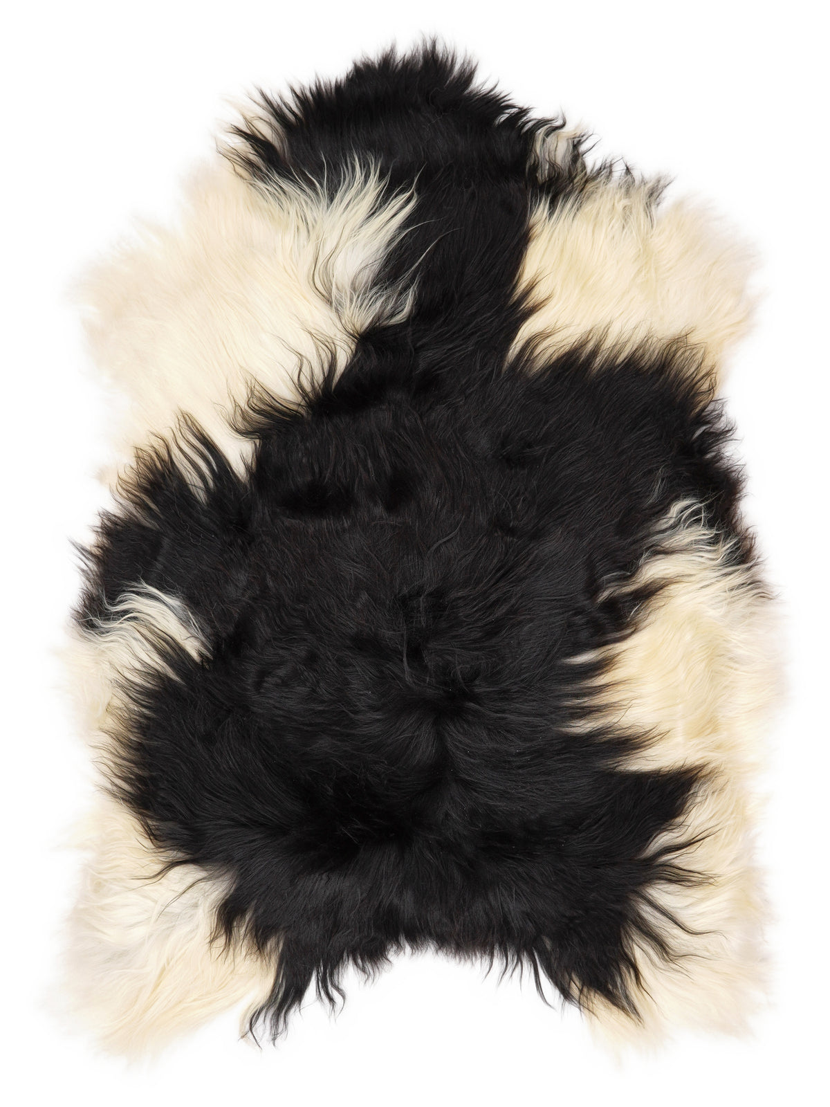 Icelandic multicolour sheepskin rug of about 120 × 80 cm, seen from above: the exact sheepskin you receive