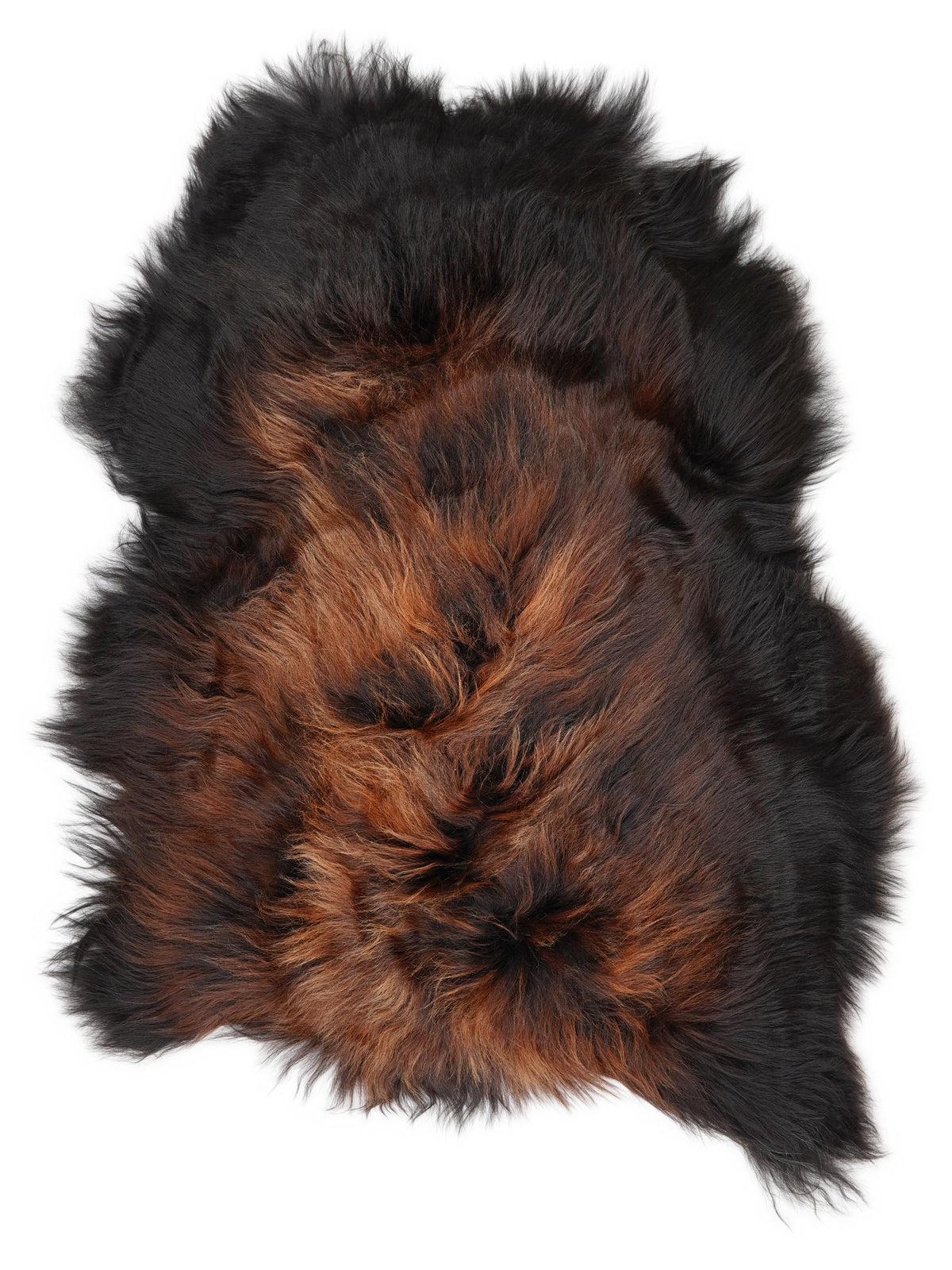 Icelandic multicolour sheepskin rug of about 120 × 80 cm, seen from above: the exact sheepskin you receive