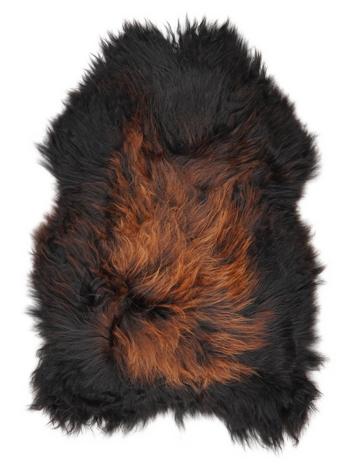 Icelandic multicolour sheepskin rug of about 120 × 80 cm, seen from above: the exact sheepskin you receive