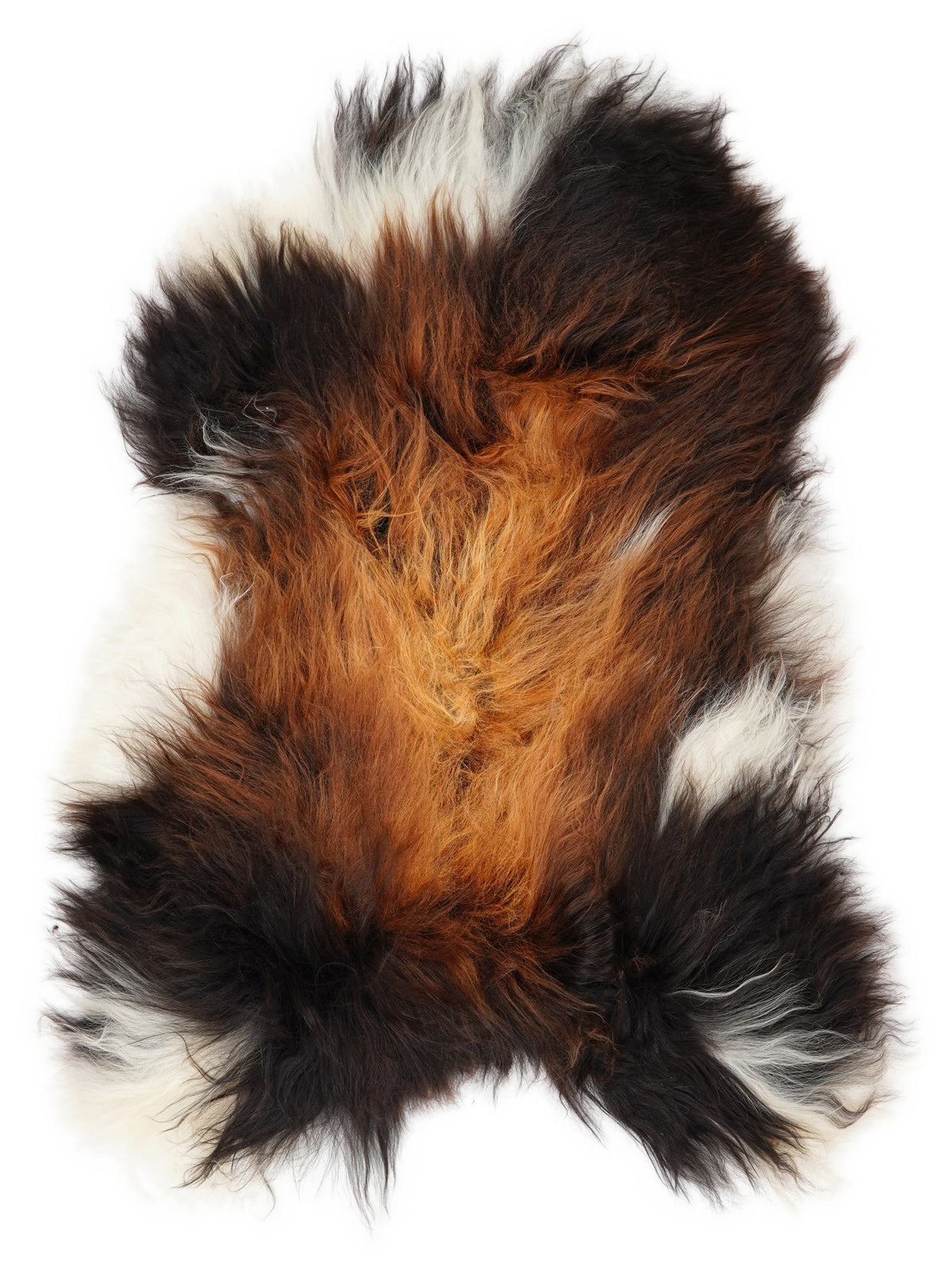 Icelandic multicolour sheepskin rug of about 110 × 65 cm, seen from above: the exact sheepskin you receive