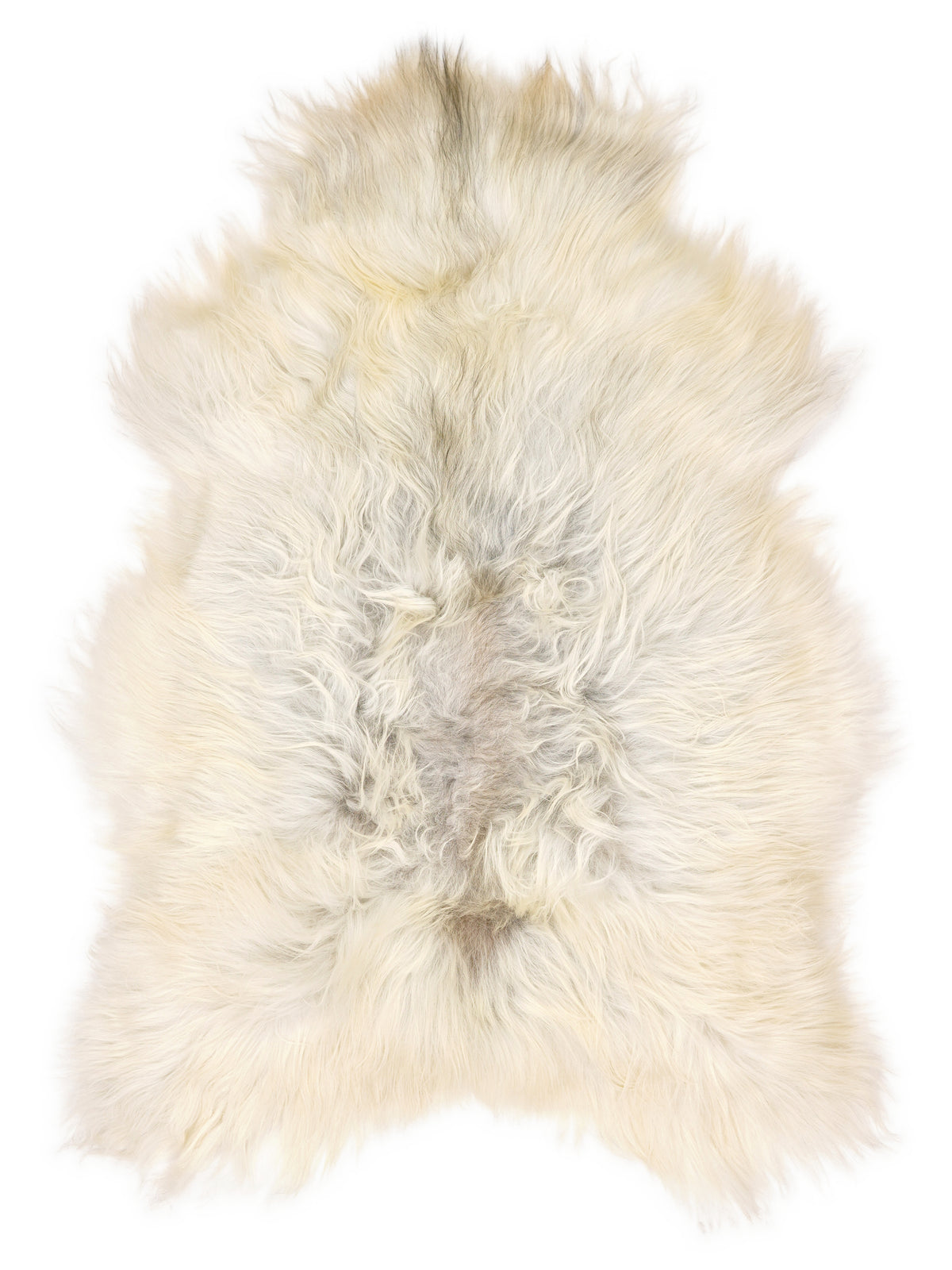 Grey Icelandic sheepskin rug of about 120 × 75 cm, seen from above: the exact sheepskin you receive