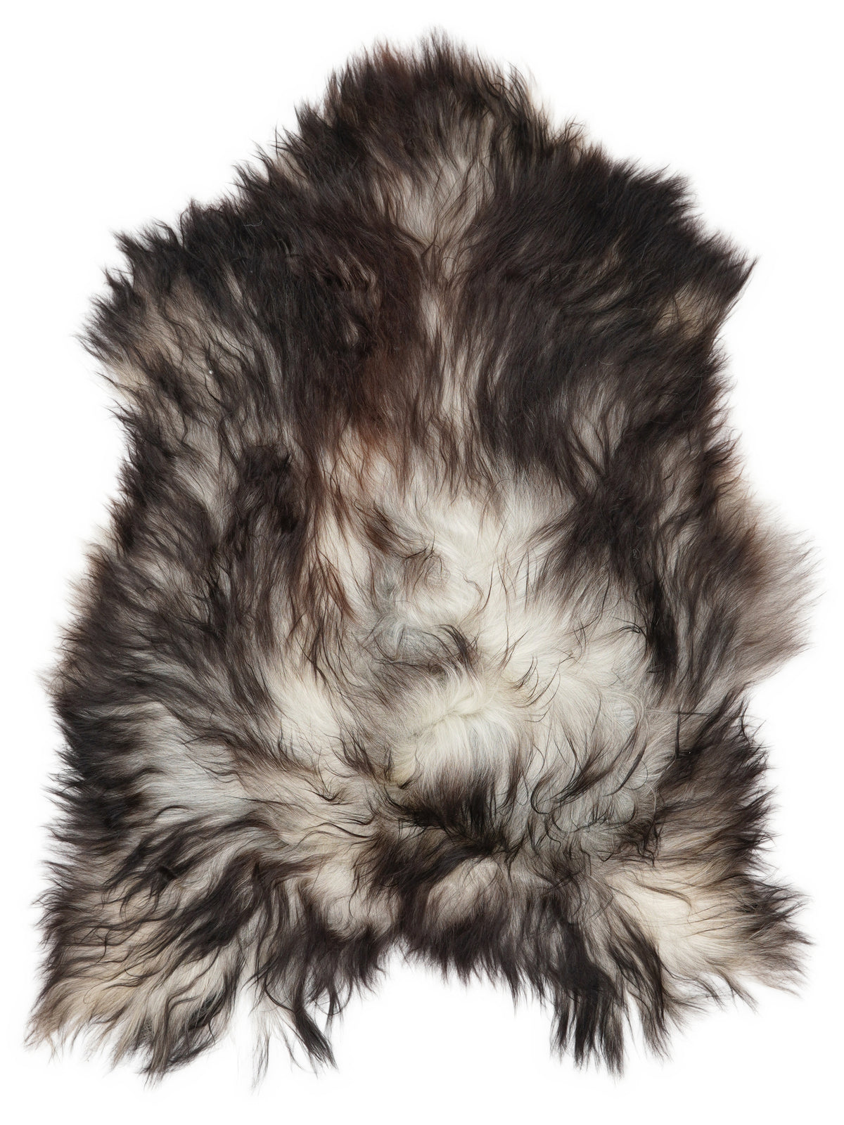 Grey Icelandic sheepskin rug of about 110 × 80 cm, seen from above: the exact sheepskin you receive