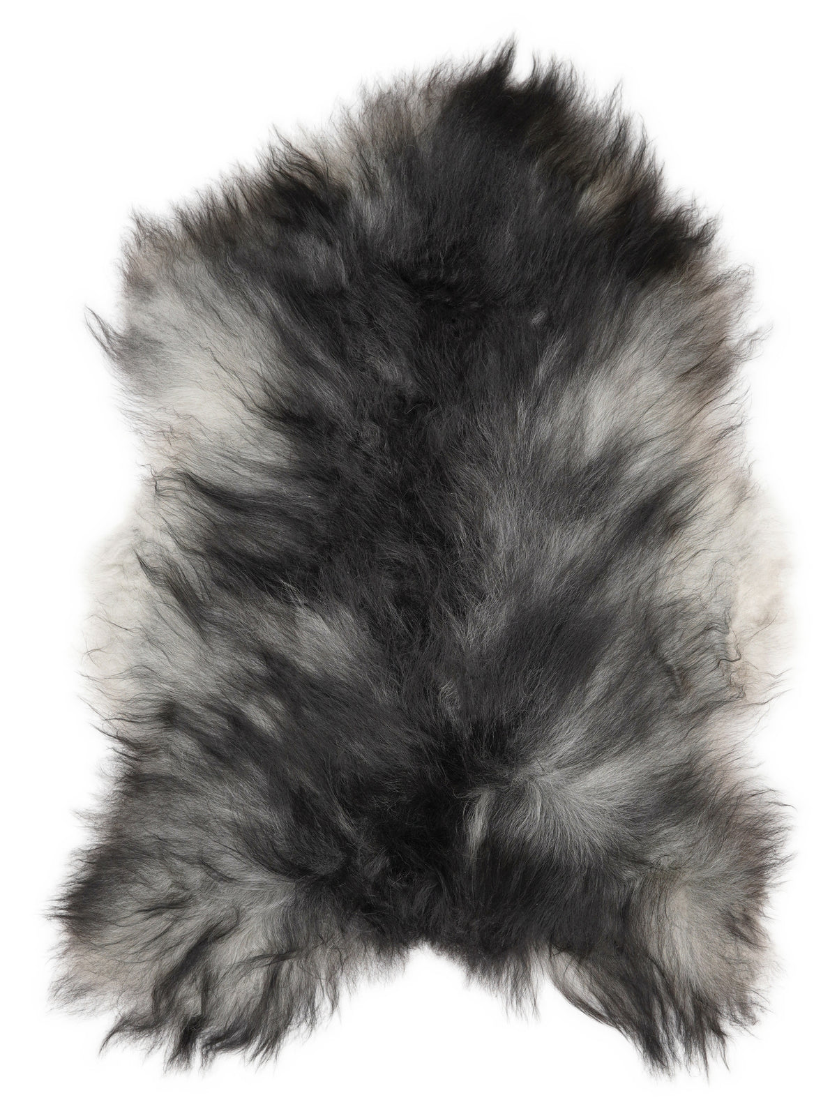 Grey Icelandic sheepskin rug of about 110 × 70 cm, seen from above: the exact sheepskin you receive