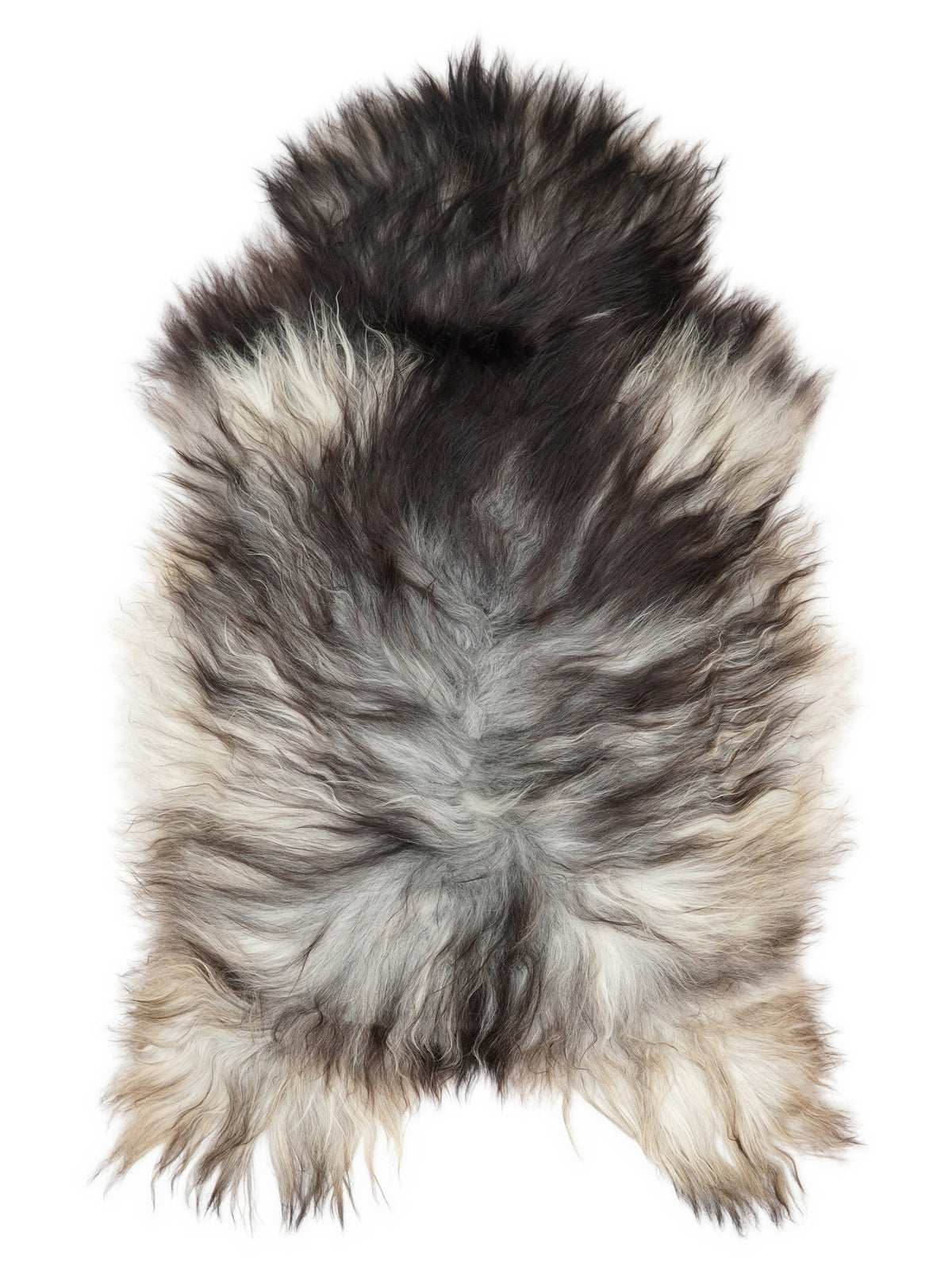 Grey Icelandic sheepskin rug of about 130 × 75 cm, seen from above: the exact sheepskin you receive