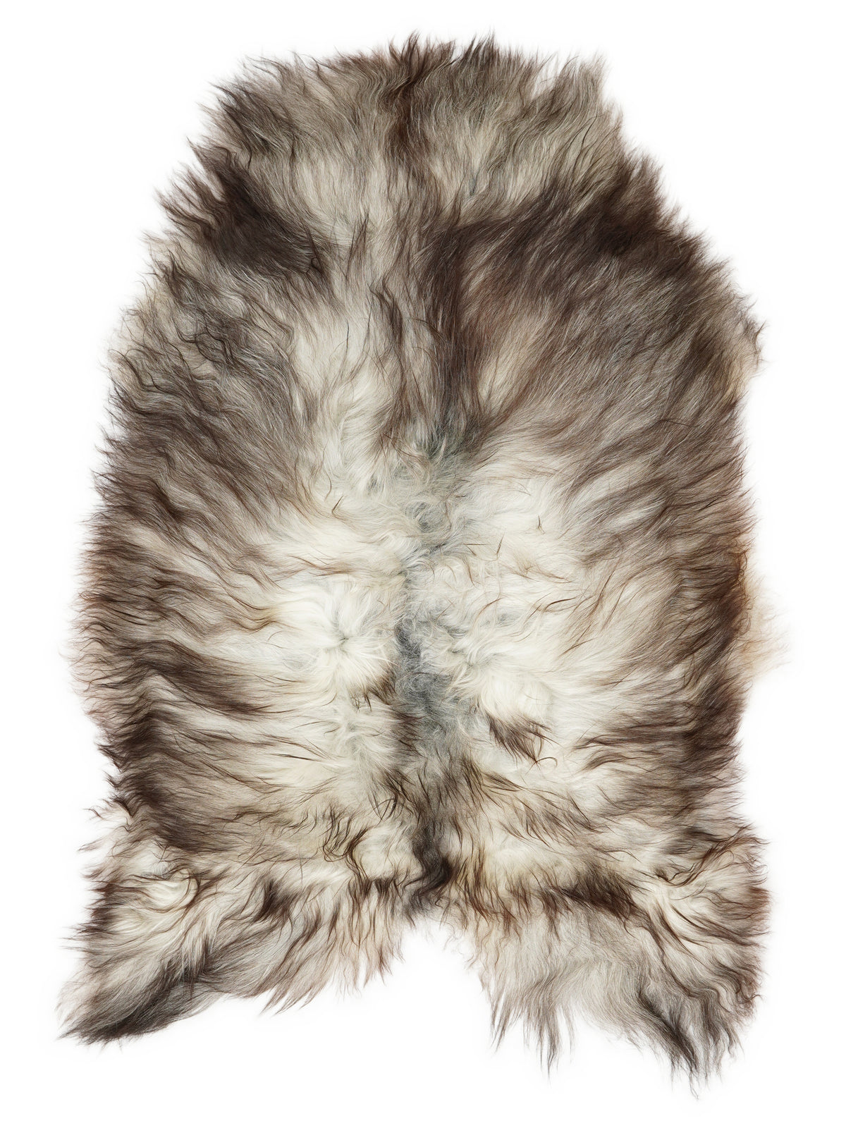 Grey Icelandic sheepskin rug of about 110 × 70 cm, seen from above: the exact sheepskin you receive