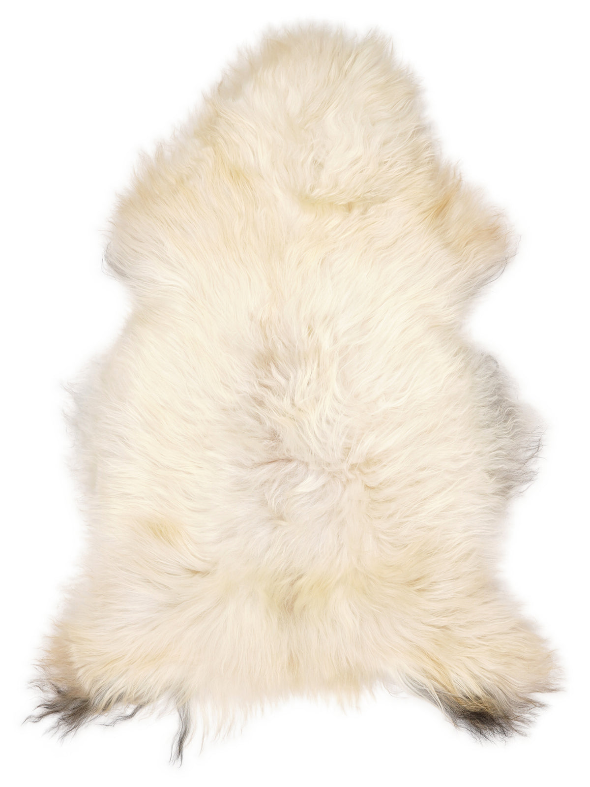 Icelandic multicolour sheepskin rug of about 120 × 70 cm, seen from above: the exact sheepskin you receive