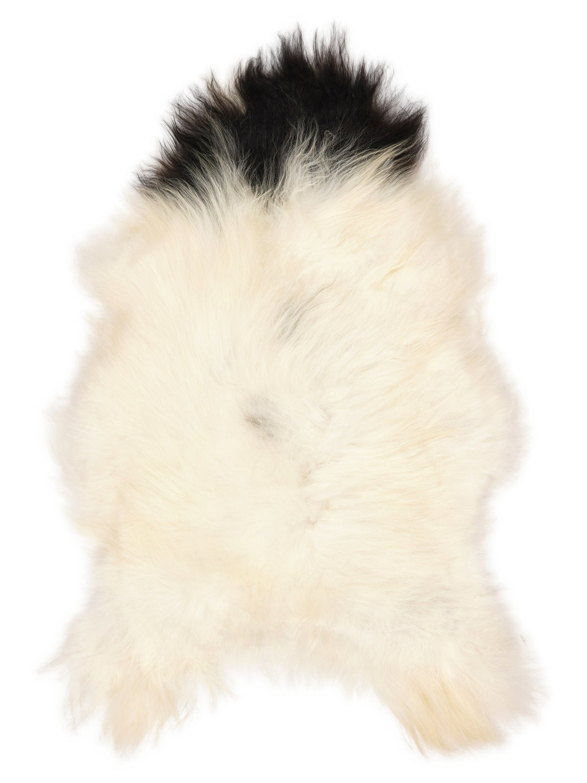 Icelandic multicolour sheepskin rug of about 115 × 70 cm, seen from above: the exact sheepskin you receive