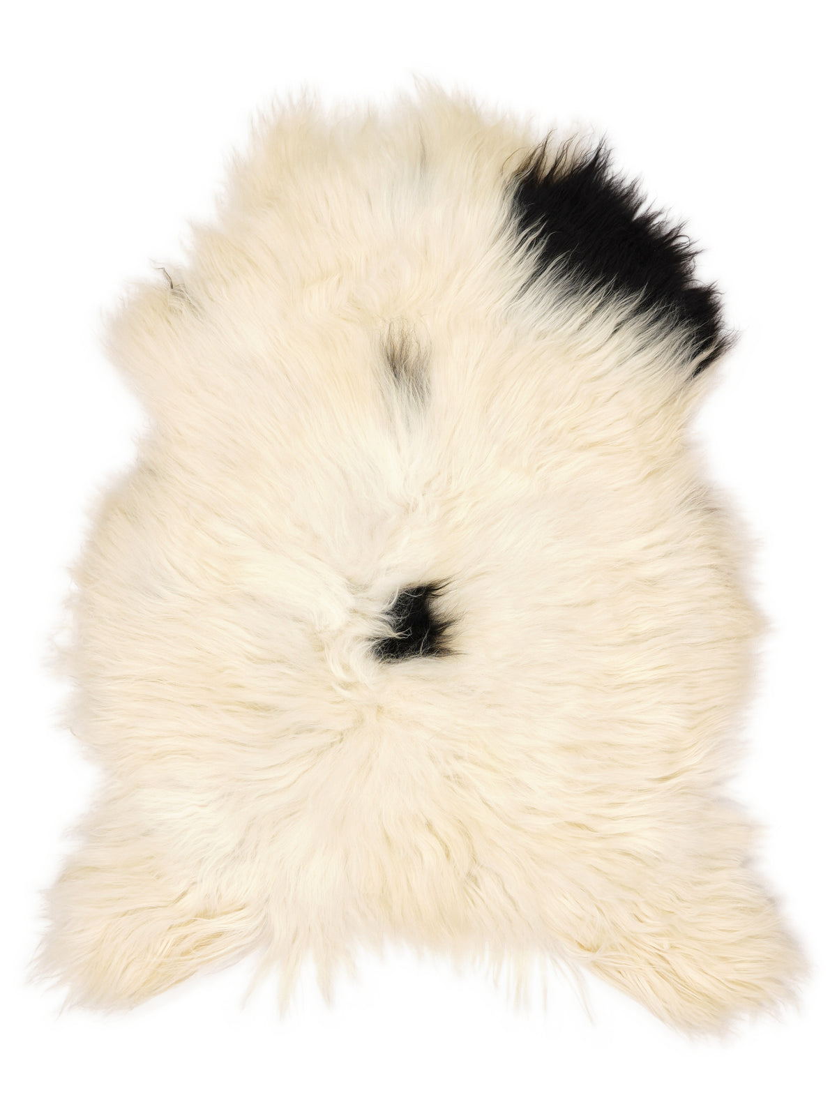 Icelandic multicolour sheepskin rug of about 110 × 80 cm, seen from above: the exact sheepskin you receive