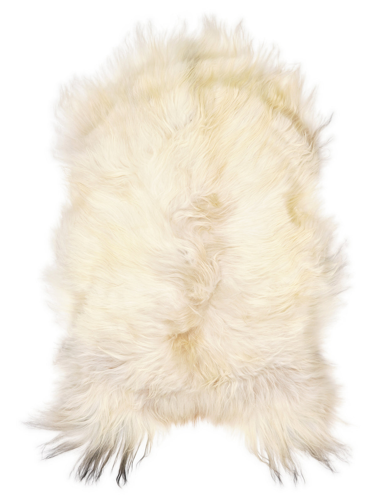 Icelandic multicolour sheepskin rug of about 120 × 75 cm, seen from above: the exact sheepskin you receive