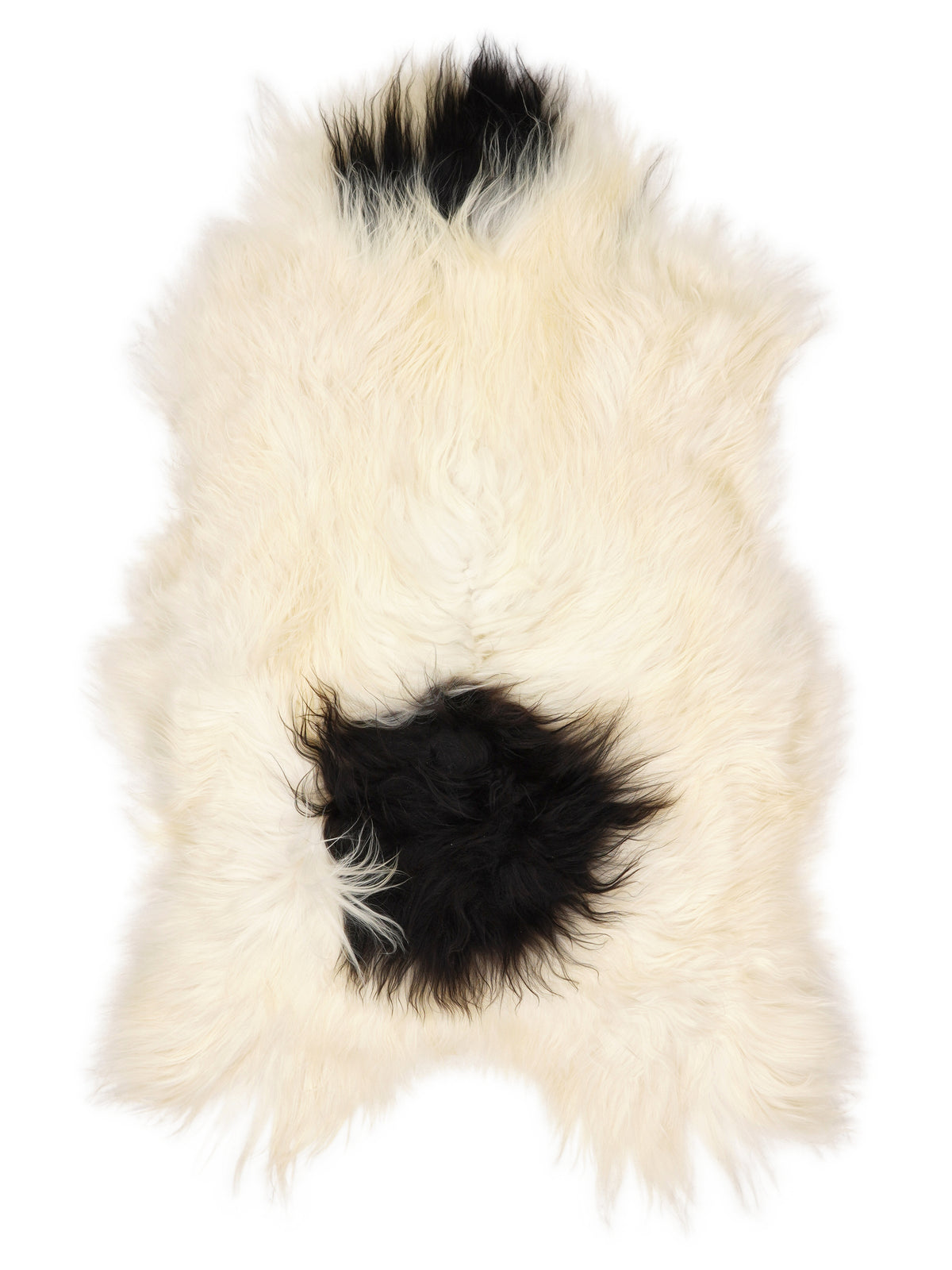 Icelandic multicolour sheepskin rug of about 130 × 75 cm, seen from above: the exact sheepskin you receive