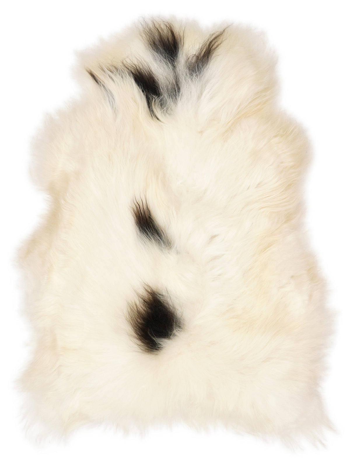 Icelandic multicolour sheepskin rug of about 110 × 70 cm, seen from above: the exact sheepskin you receive