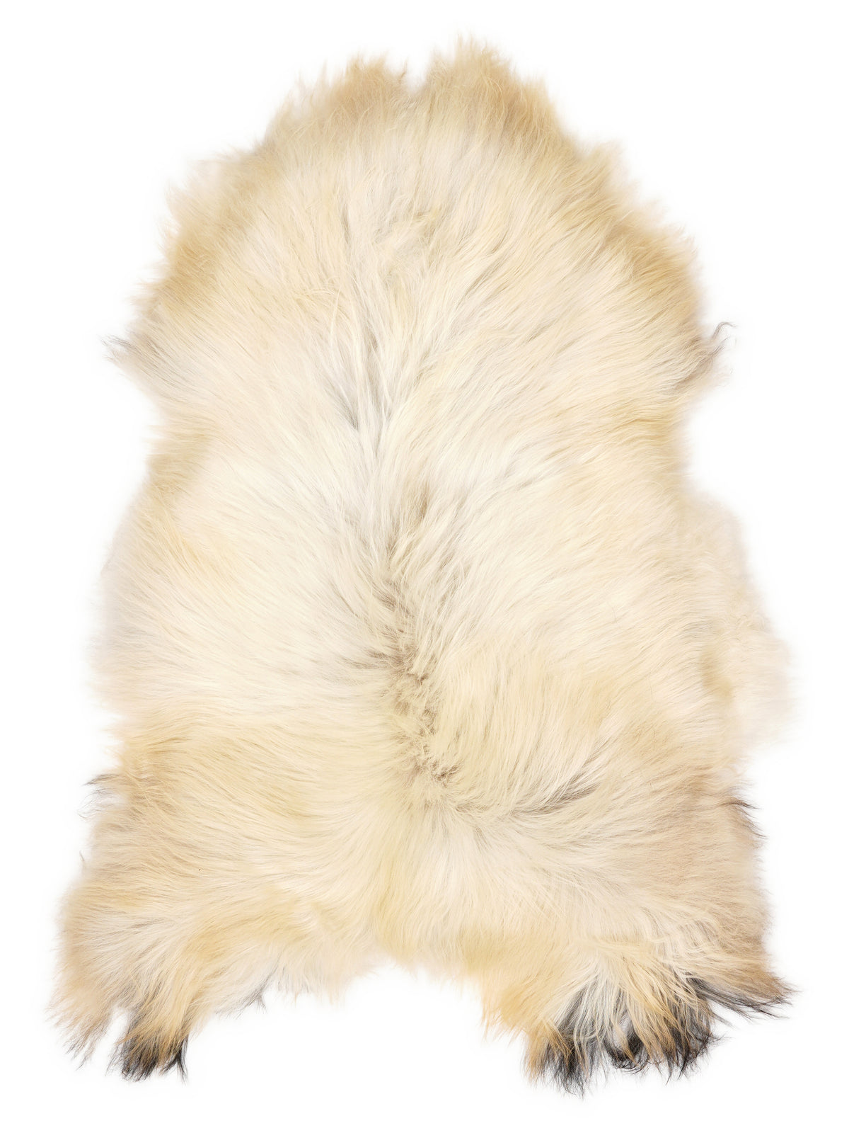 Icelandic multicolour sheepskin rug of about 110 × 70 cm, seen from above: the exact sheepskin you receive