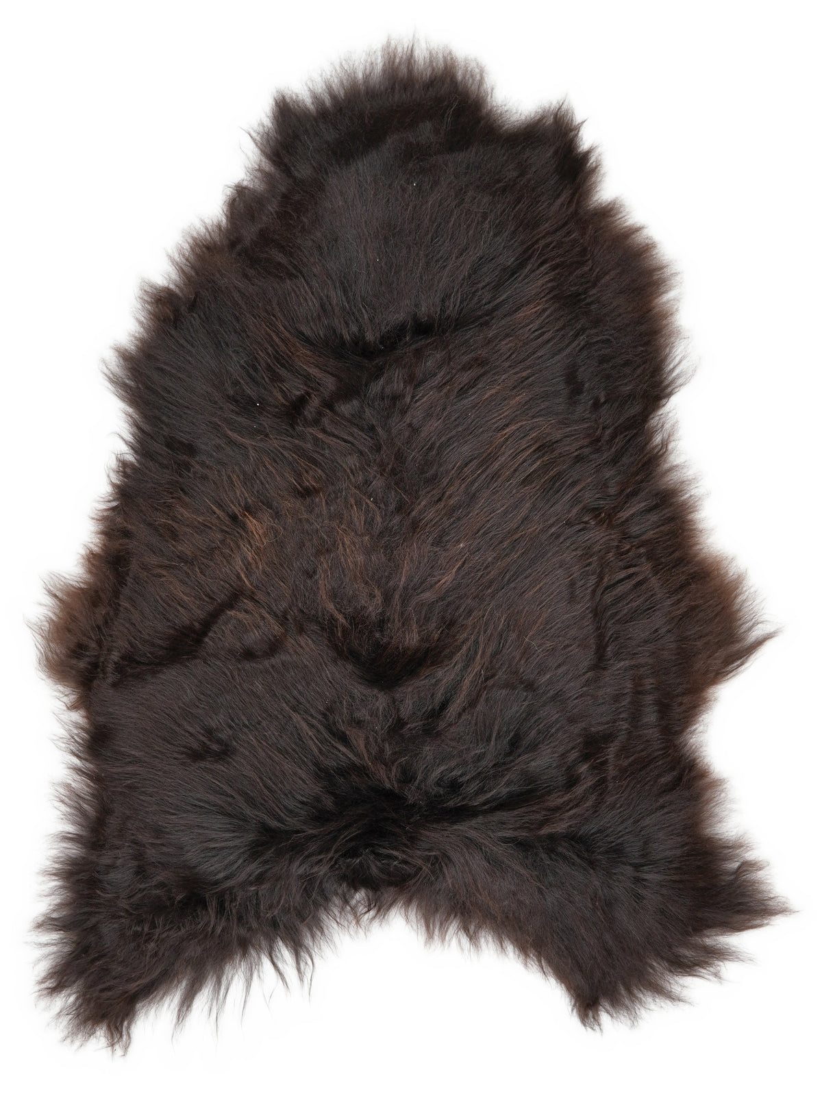 Icelandic multicolour sheepskin rug of about 110 × 75 cm, seen from above: the exact sheepskin you receive