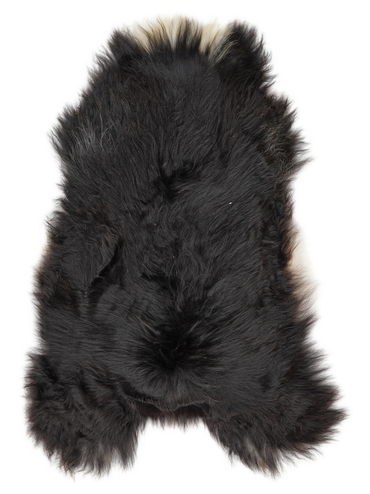 Icelandic multicolour sheepskin rug of about 130 × 70 cm, seen from above: the exact sheepskin you receive