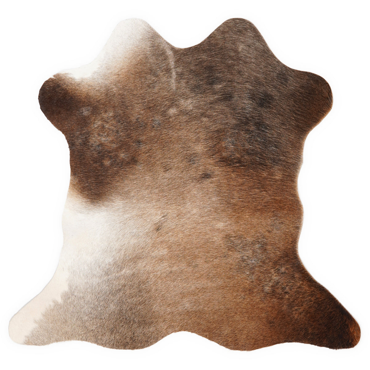 Mini cowhide of about 70 × 70 cm, seen from above: the exact hide you receive