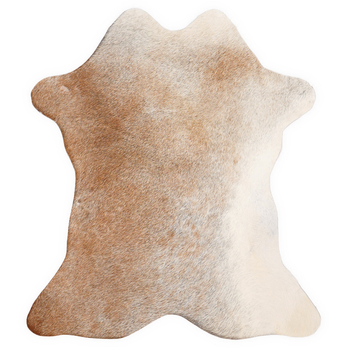 Mini cowhide of about 70 × 70 cm, seen from above: the exact hide you receive