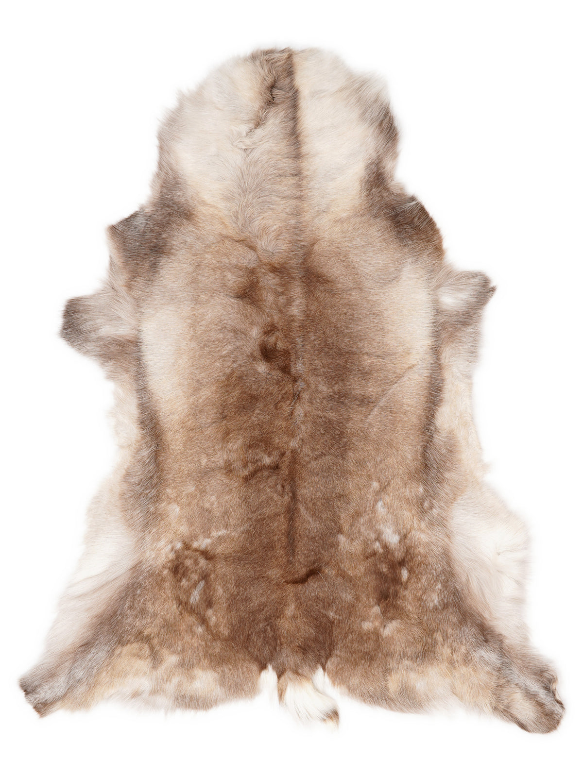 Reindeer hide of about 130 × 110 cm, seen from above: the exact hide you receive