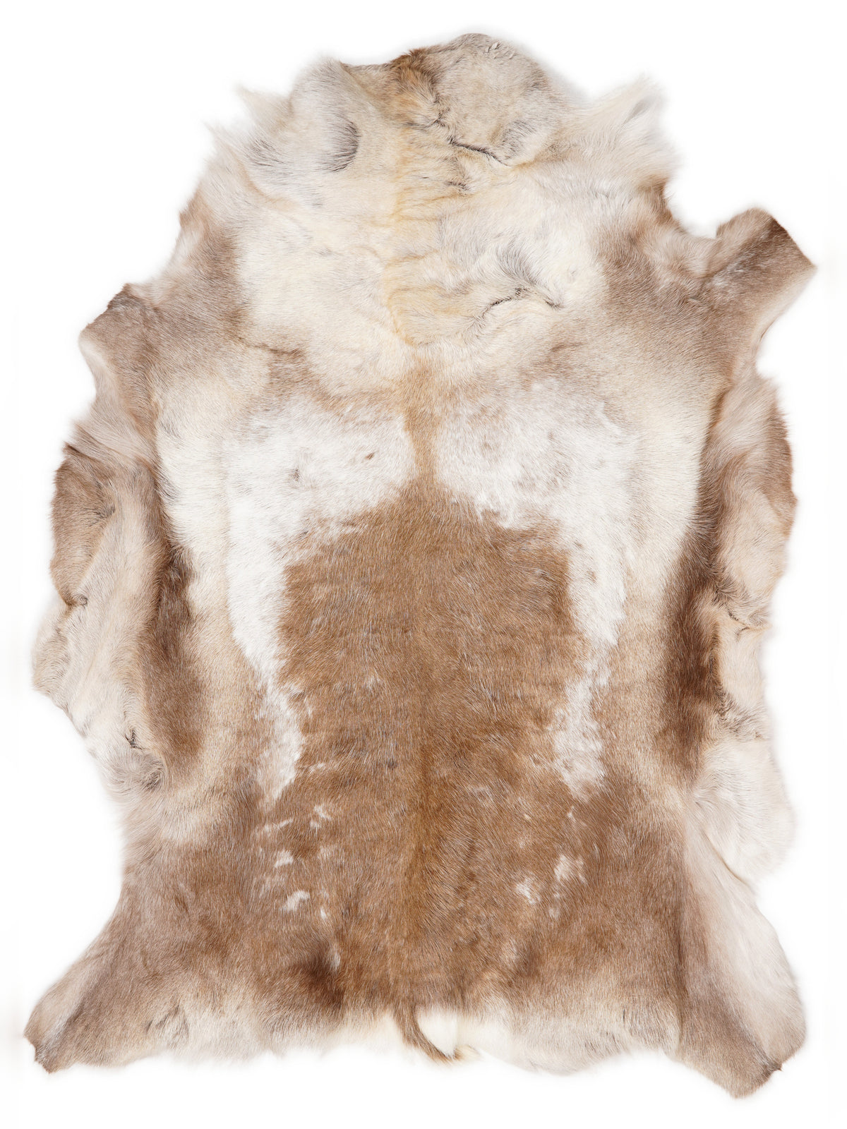 Reindeer hide of about 150 × 130 cm, seen from above: the exact hide you receive
