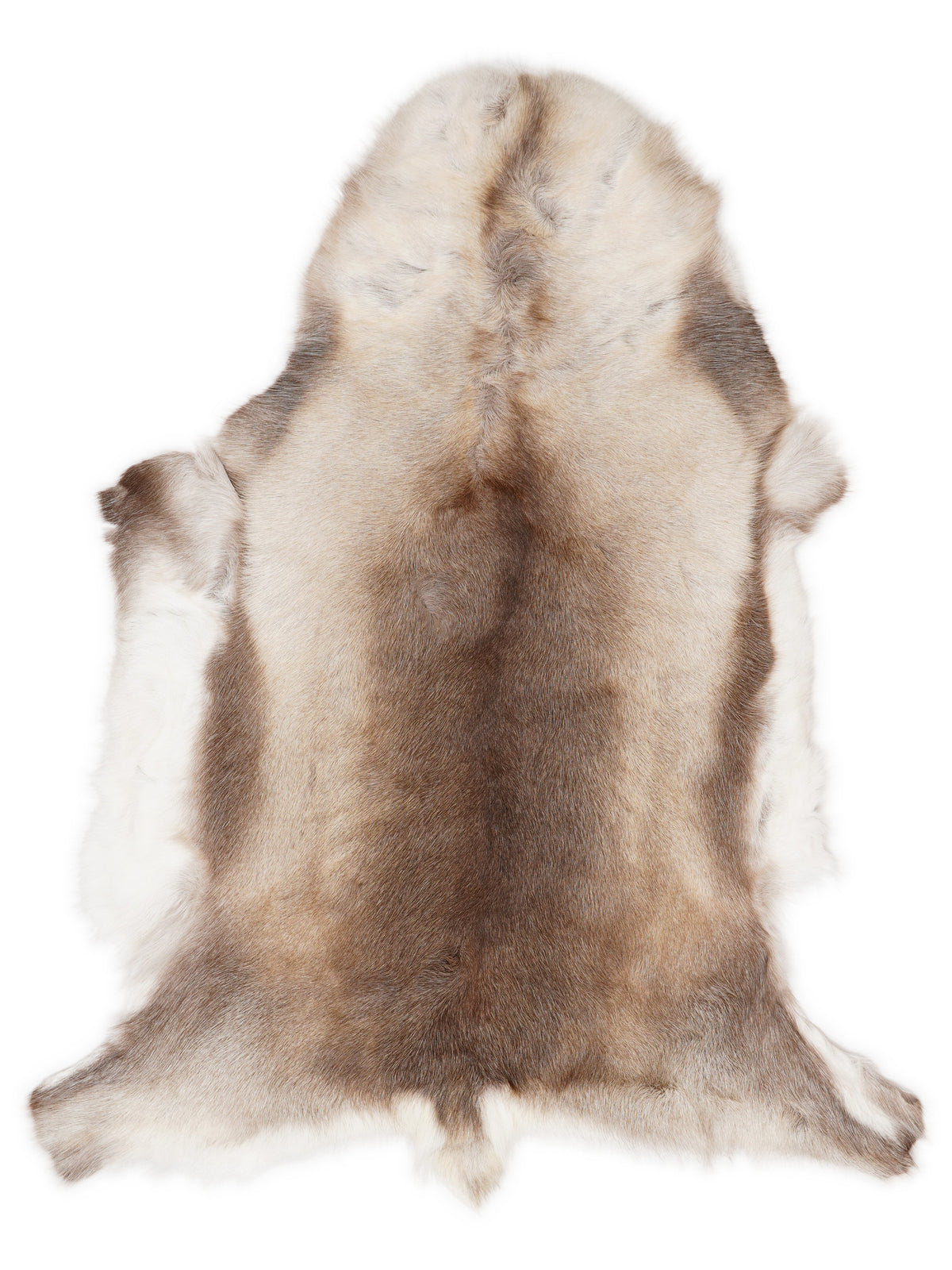 Reindeer hide of about 130 × 105 cm, seen from above: the exact hide you receive