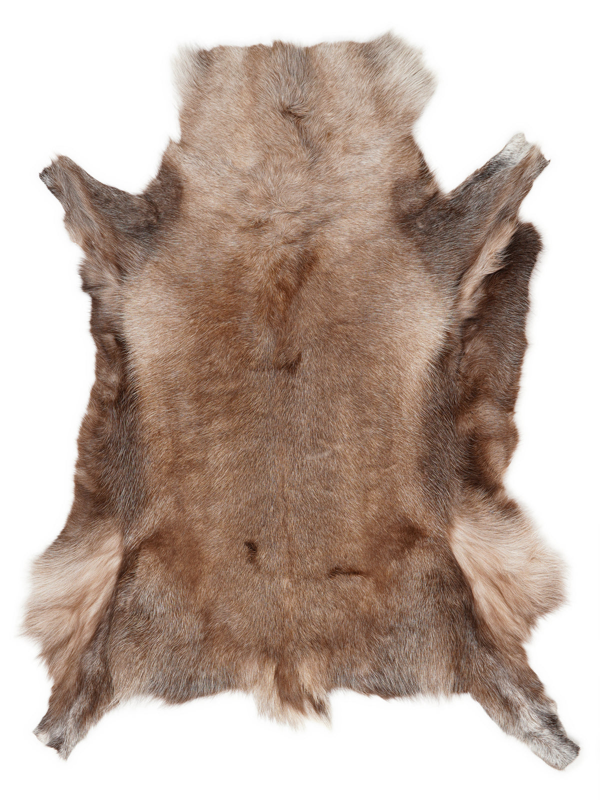 Reindeer hide of about 140 × 115 cm, seen from above: the exact hide you receive
