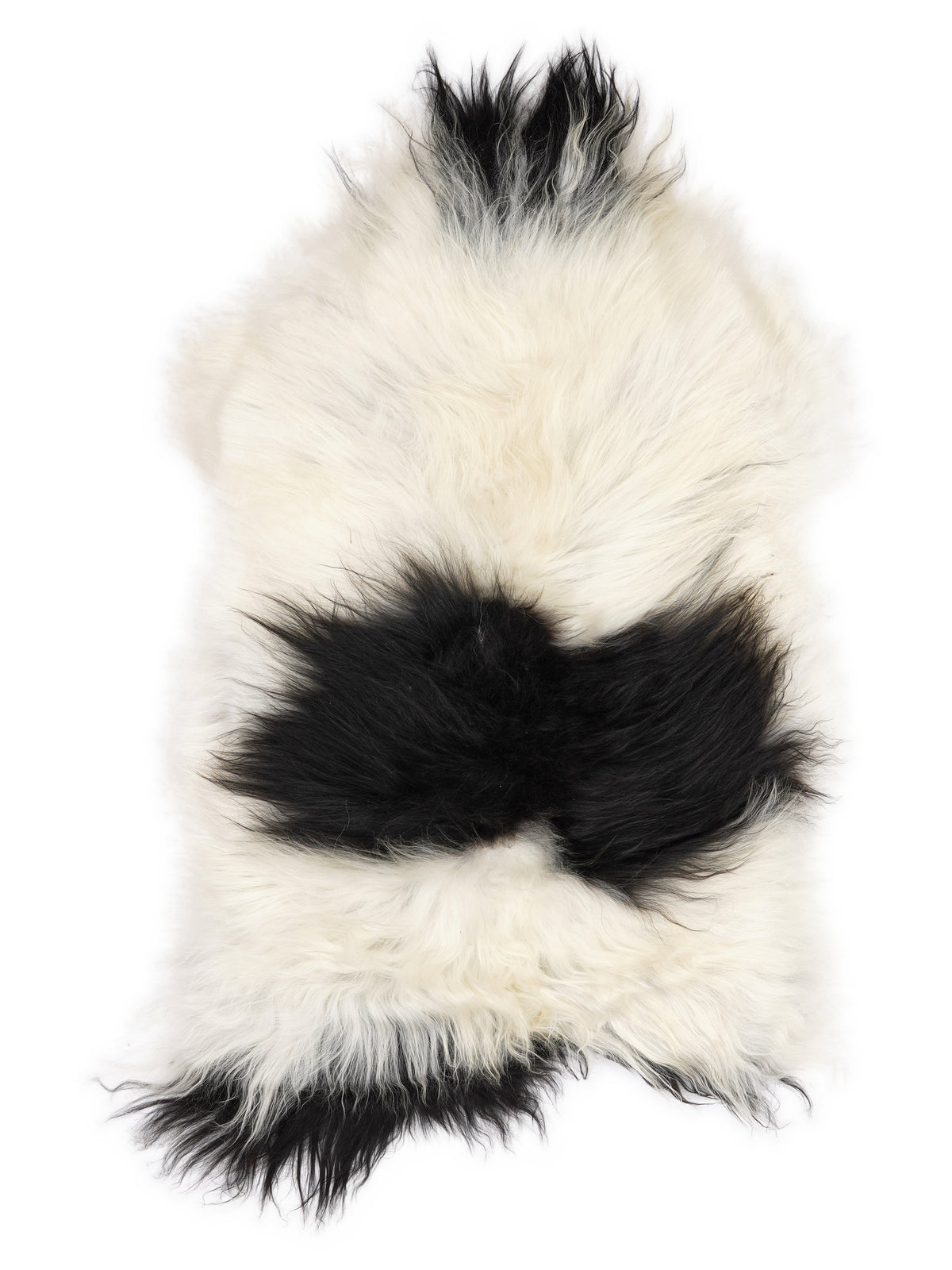 Icelandic multicolour sheepskin rug of about 110 × 65 cm, seen from above: the exact sheepskin you receive