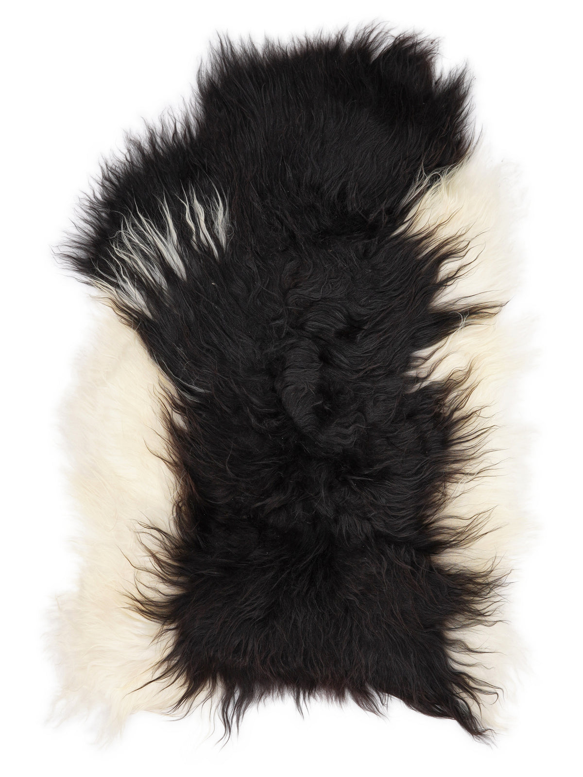 Icelandic multicolour sheepskin rug of about 120 × 75 cm, seen from above: the exact sheepskin you receive