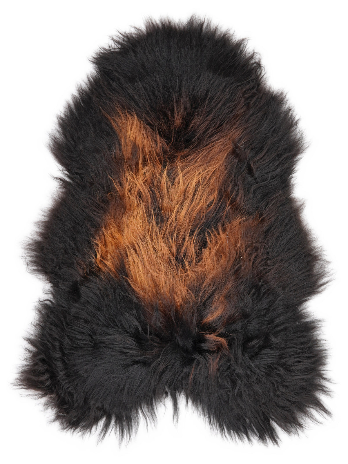 Icelandic multicolour sheepskin rug of about 120 × 80 cm, seen from above: the exact sheepskin you receive
