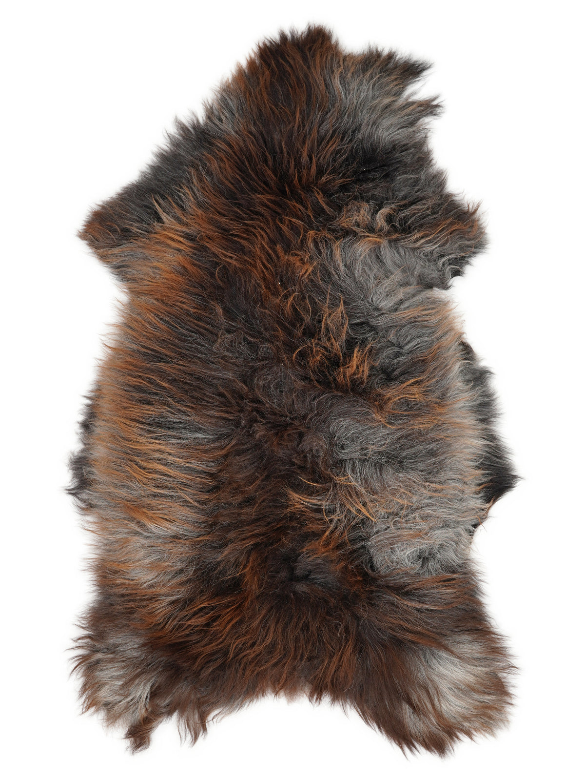 Icelandic multicolour sheepskin rug of about 125 × 70 cm, seen from above: the exact sheepskin you receive