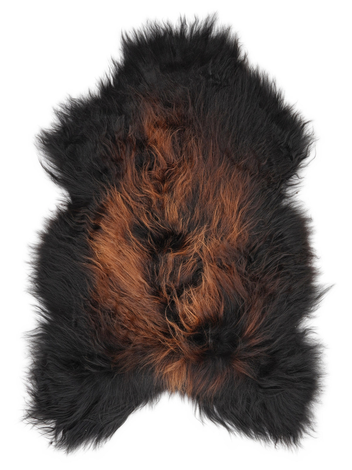 Icelandic multicolour sheepskin rug of about 120 × 80 cm, seen from above: the exact sheepskin you receive