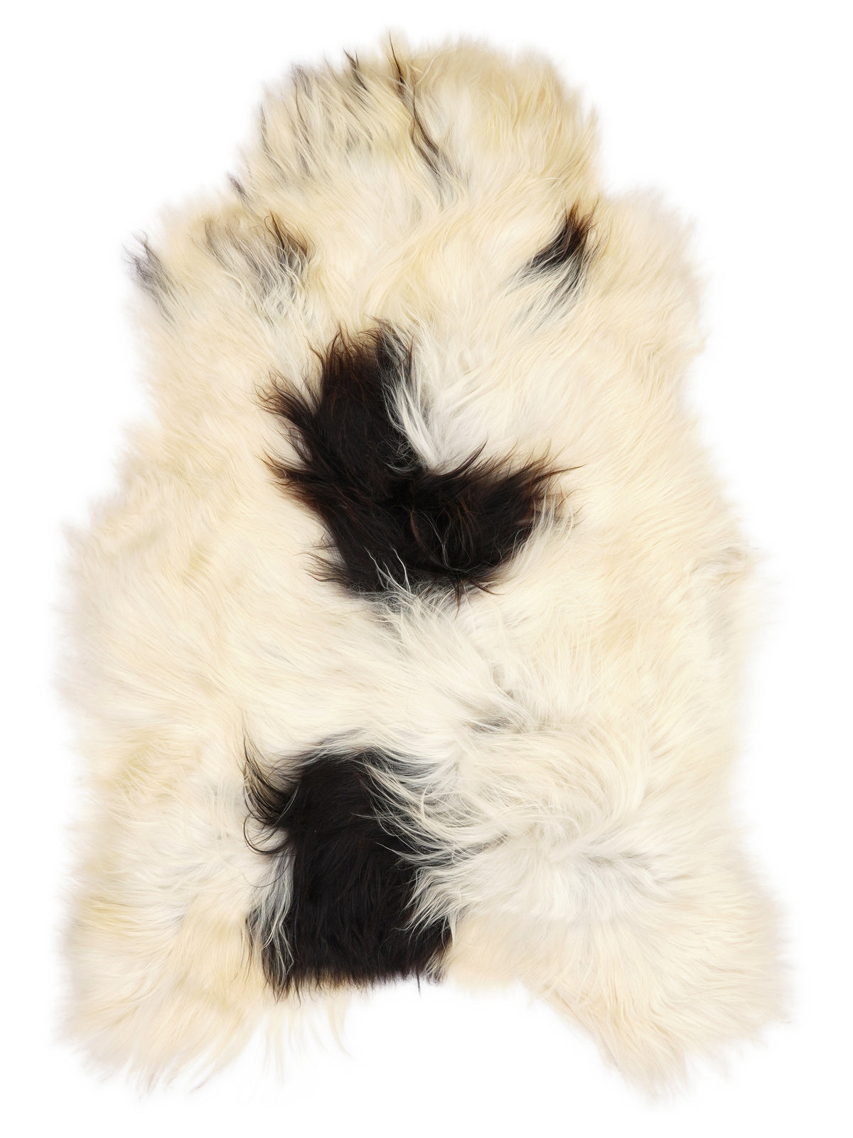 Icelandic multicolour sheepskin rug of about 130 × 80 cm, seen from above: the exact sheepskin you receive
