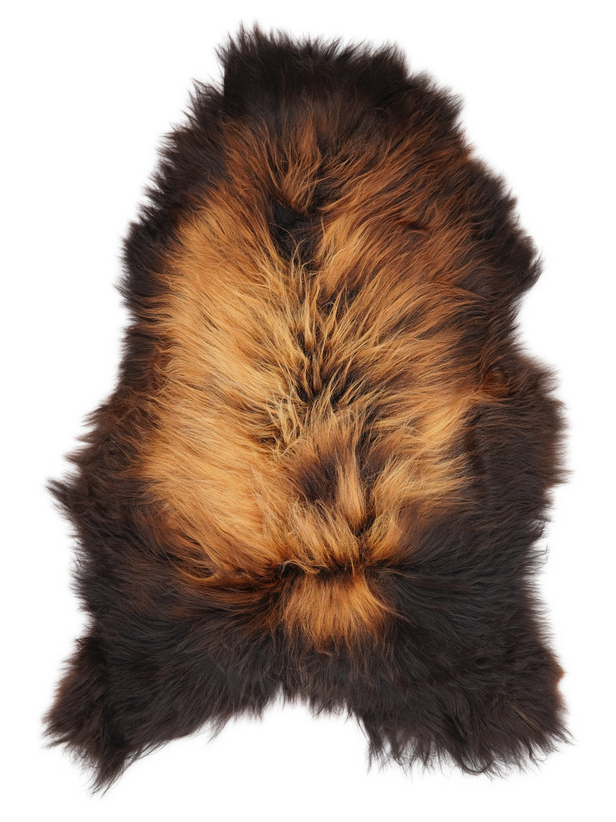 Icelandic multicolour sheepskin rug of about 120 × 80 cm, seen from above: the exact sheepskin you receive