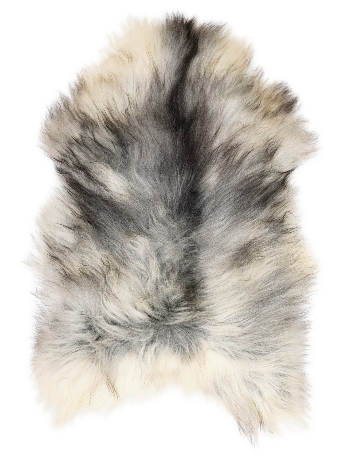 Grey Icelandic sheepskin rug of about 120 × 70 cm, seen from above: the exact sheepskin you receive