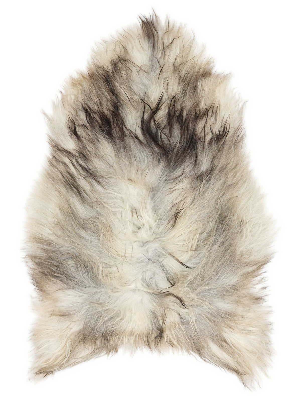 Grey Icelandic sheepskin rug of about 120 × 70 cm, seen from above: the exact sheepskin you receive