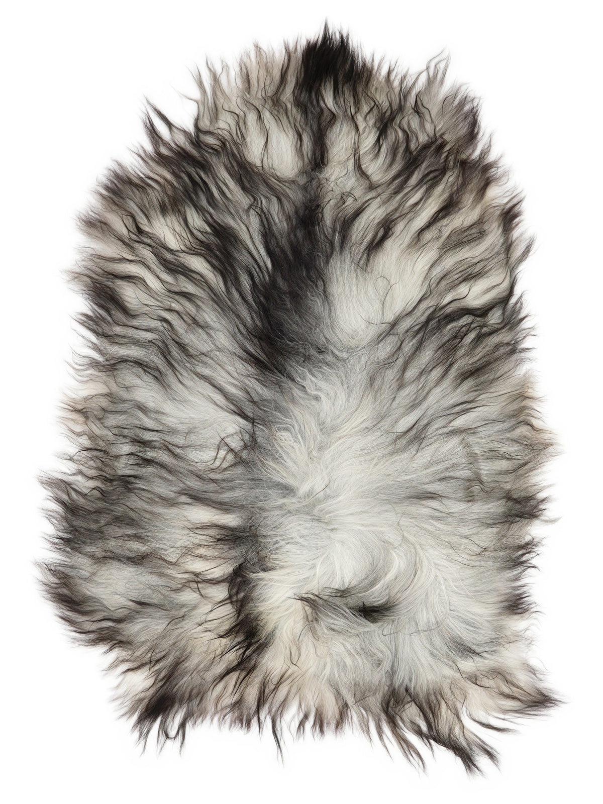 Grey Icelandic sheepskin rug of about 110 × 70 cm, seen from above: the exact sheepskin you receive