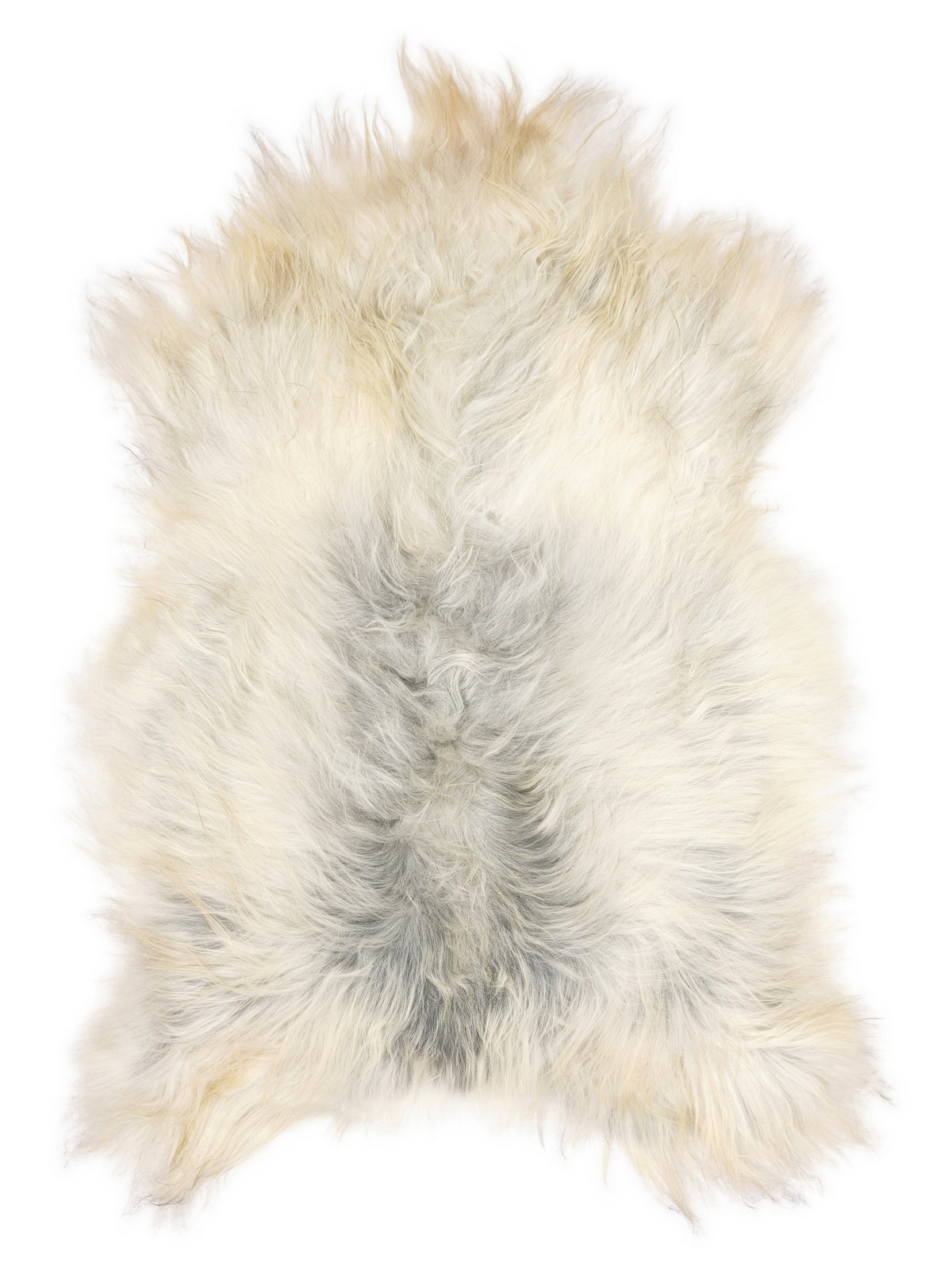 Grey Icelandic sheepskin rug of about 125 × 80 cm, seen from above: the exact sheepskin you receive