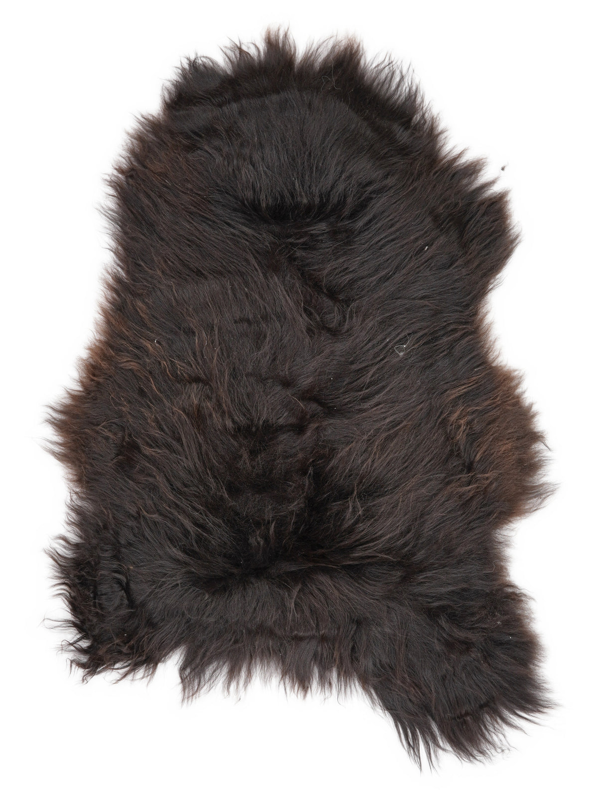 Icelandic multicolour sheepskin rug of about 110 × 70 cm, seen from above: the exact sheepskin you receive