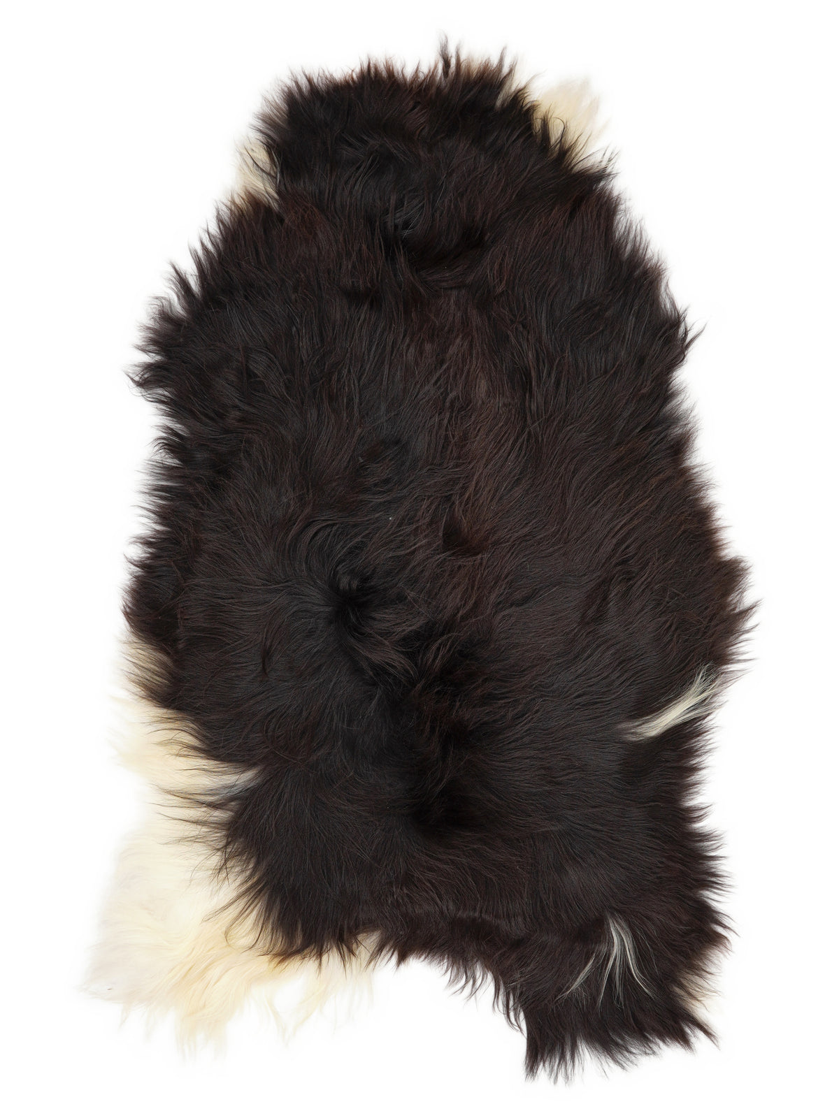 Icelandic multicolour sheepskin rug of about 120 × 70 cm, seen from above: the exact sheepskin you receive