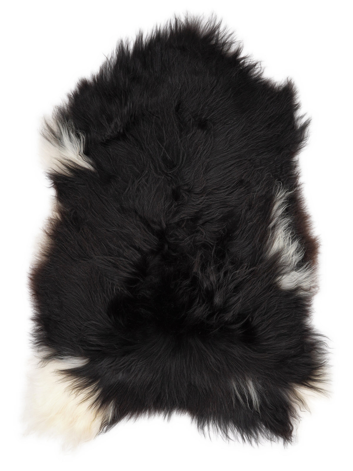 Icelandic multicolour sheepskin rug of about 110 × 70 cm, seen from above: the exact sheepskin you receive