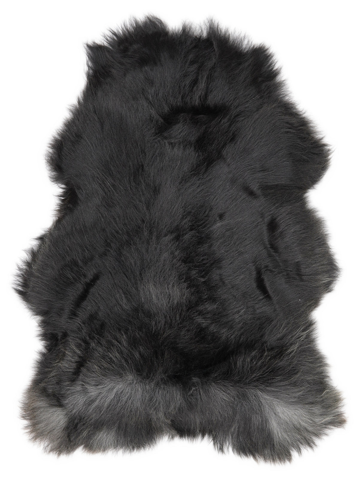 Icelandic multicolour sheepskin rug of about 120 × 80 cm, seen from above: the exact sheepskin you receive