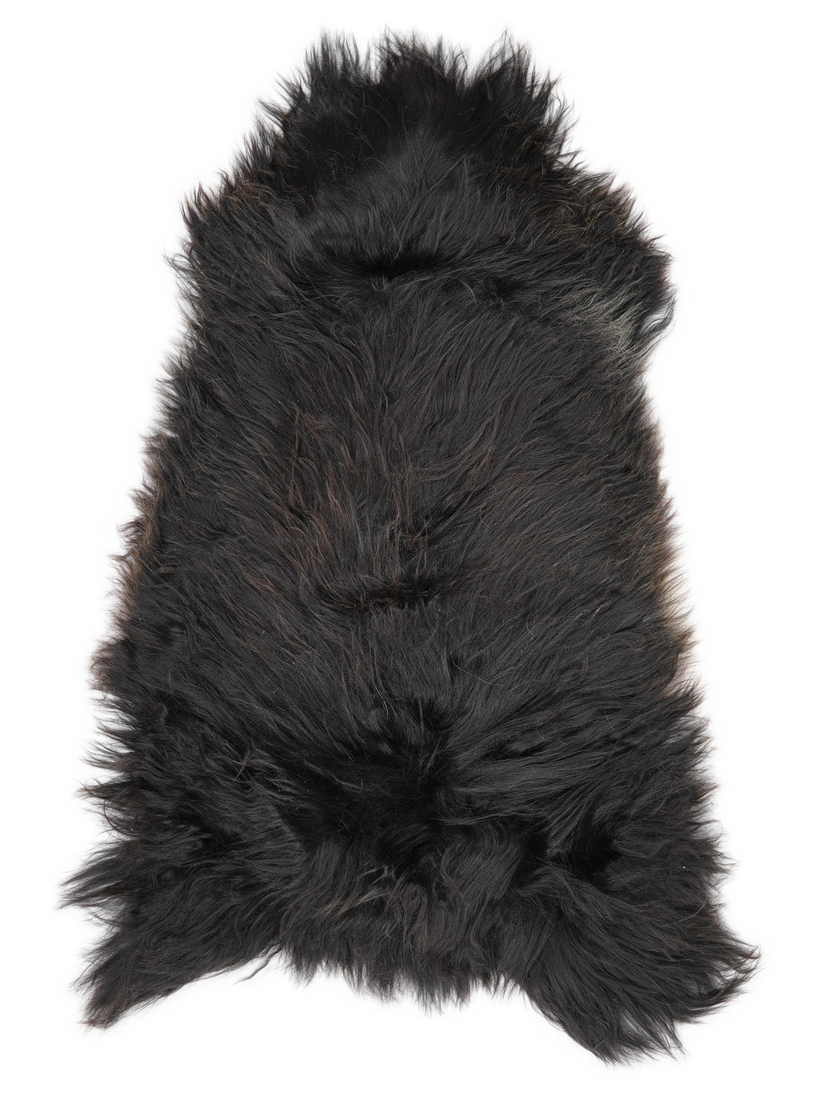 Icelandic multicolour sheepskin rug of about 120 × 65 cm, seen from above: the exact sheepskin you receive