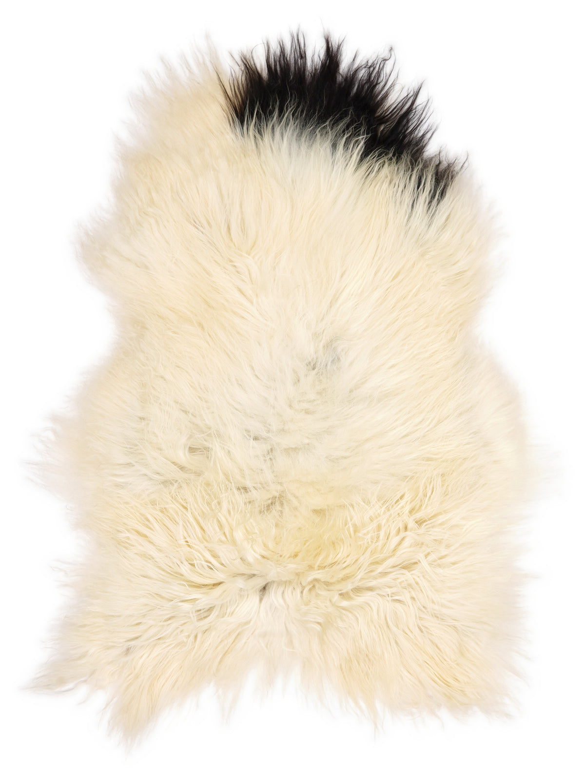 Icelandic multicolour sheepskin rug of about 110 × 80 cm, seen from above: the exact sheepskin you receive