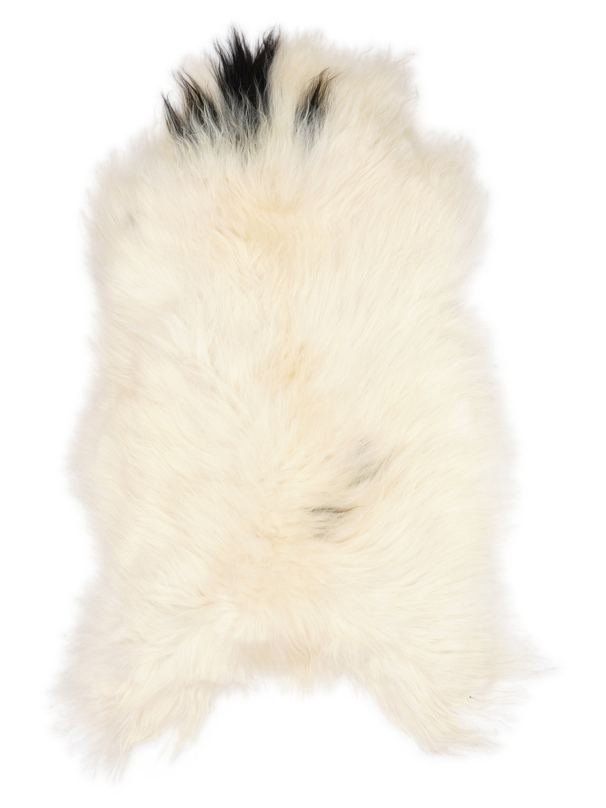 Icelandic multicolour sheepskin rug of about 120 × 70 cm, seen from above: the exact sheepskin you receive