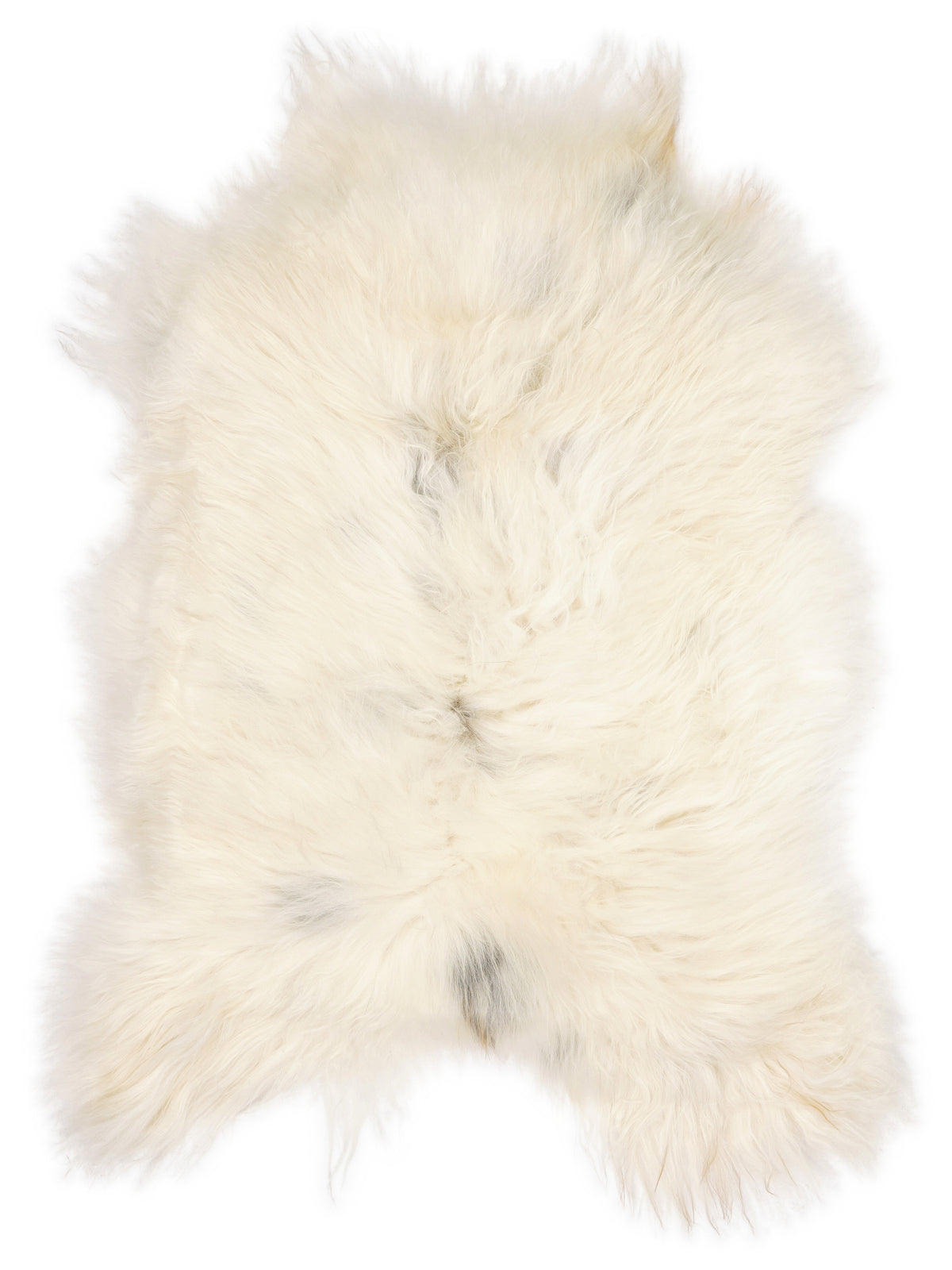 Icelandic multicolour sheepskin rug of about 110 × 80 cm, seen from above: the exact sheepskin you receive