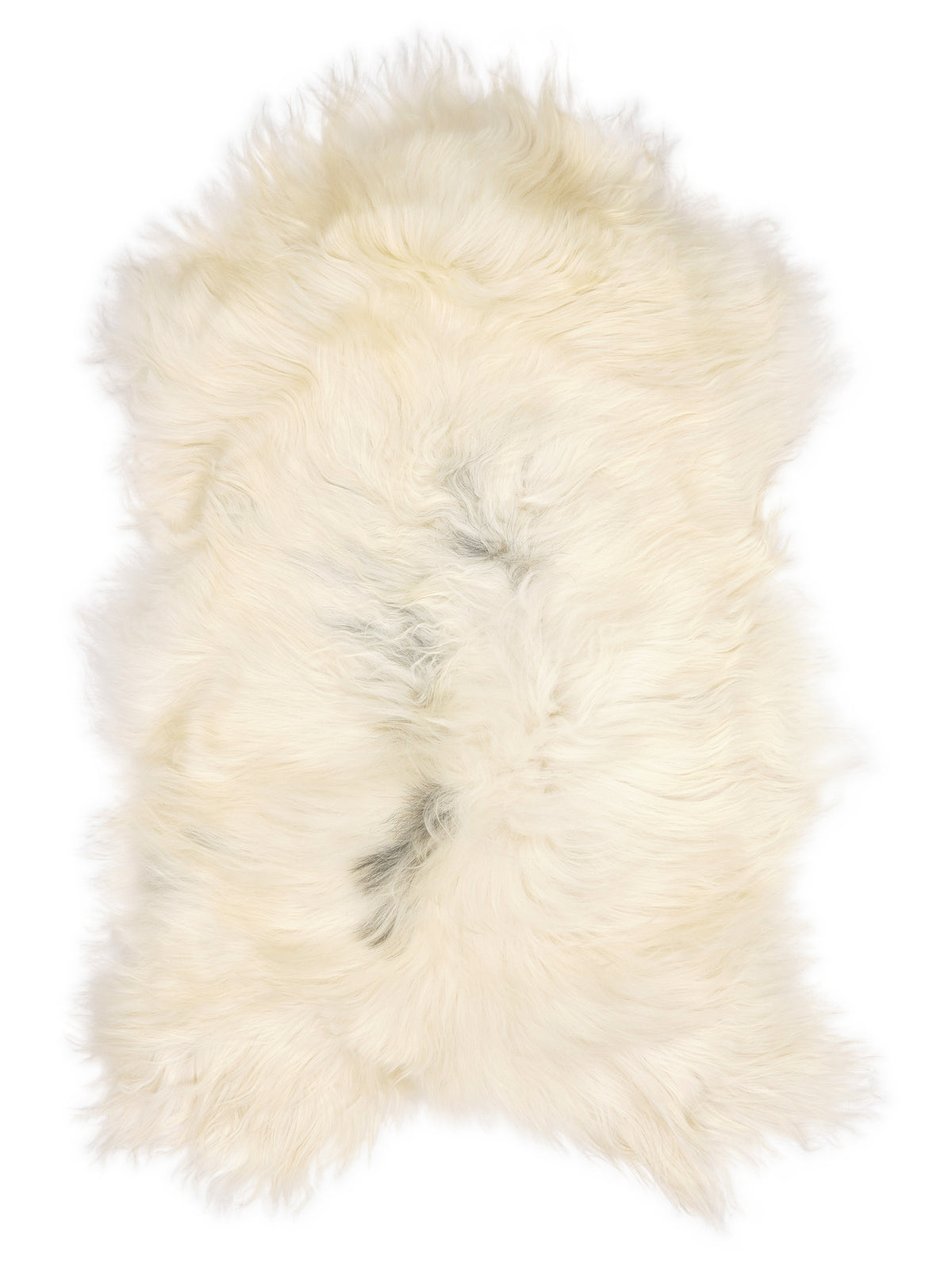 Icelandic multicolour sheepskin rug of about 120 × 70 cm, seen from above: the exact sheepskin you receive