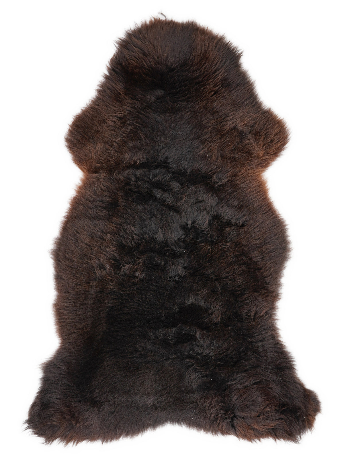 Brown sheepskin rug of about 120 × 60 cm, seen from above: the exact sheepskin you receive
