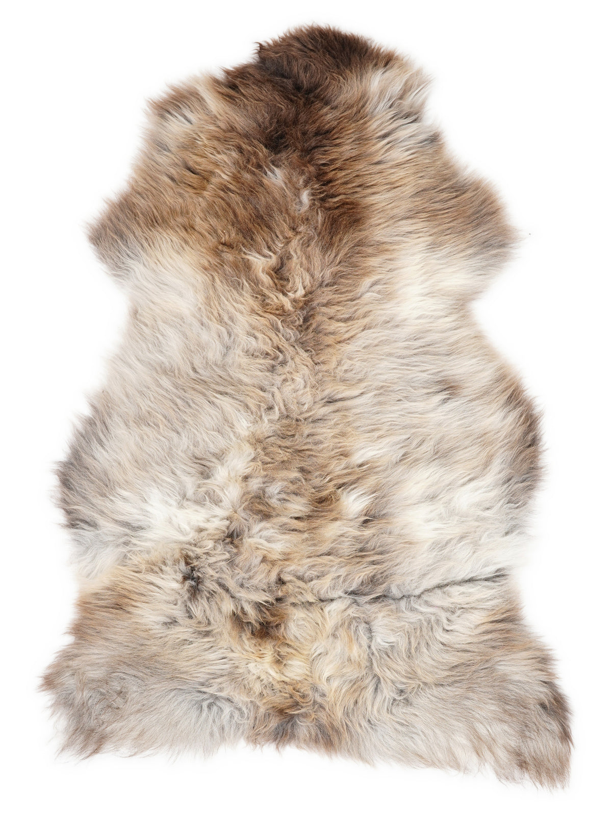 British multicolour sheepskin rug of about 120 × 75 cm, seen from above: the exact sheepskin you receive
