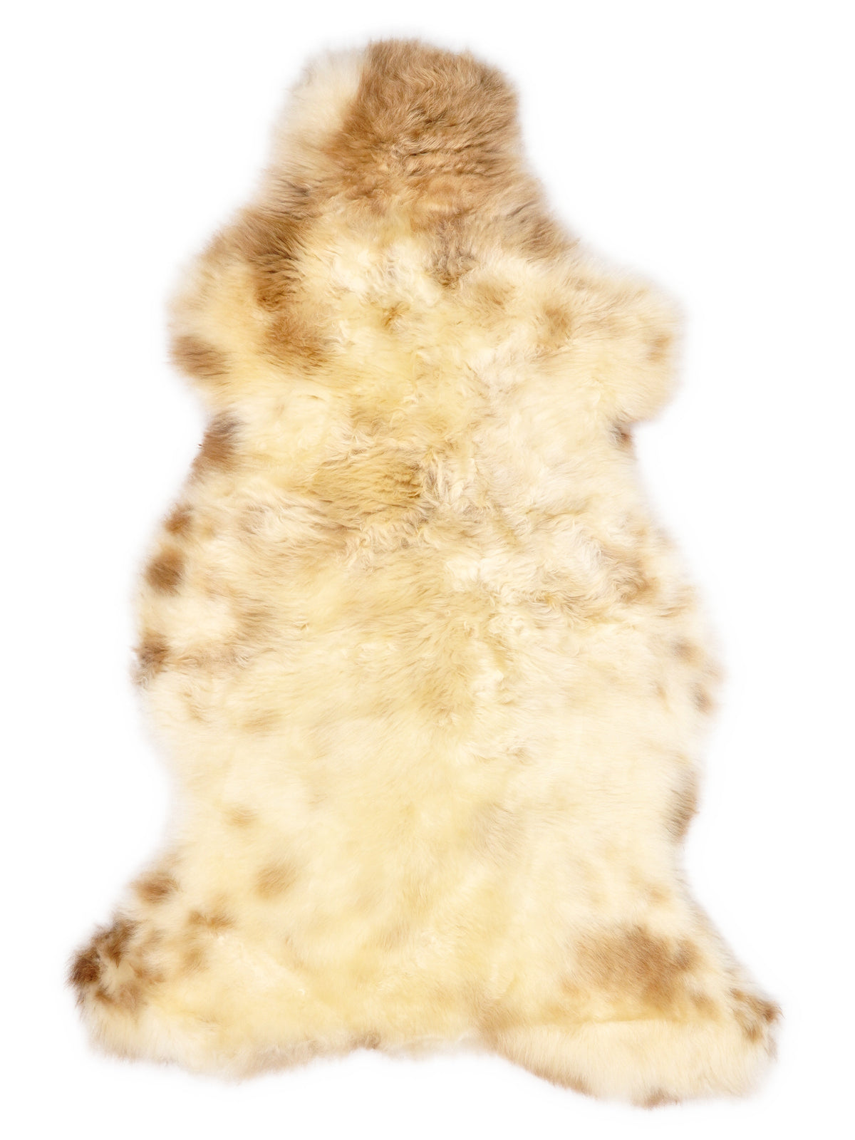 British multicolour sheepskin rug of about 110 × 60 cm, seen from above: the exact sheepskin you receive