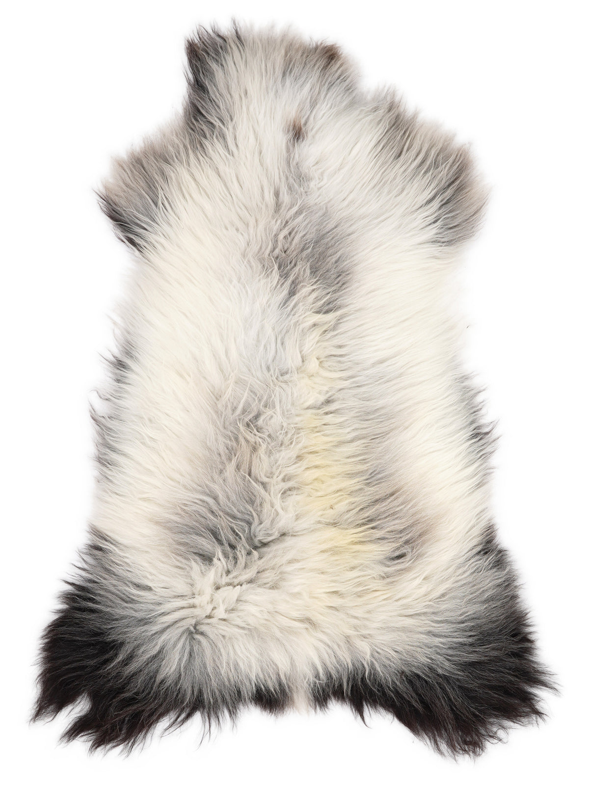 British multicolour sheepskin rug of about 120 × 60 cm, seen from above: the exact sheepskin you receive